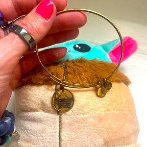 Alex and Ani Providence bracelet